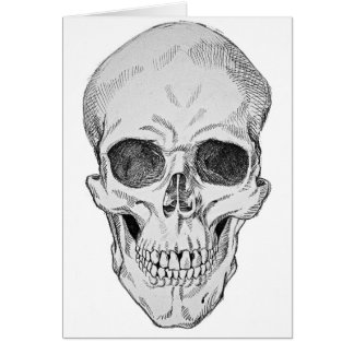 Anatomische illustratie van de menselijke schedel 