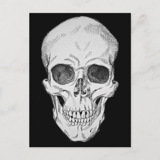 Anatomische illustratie van de menselijke schedel  briefkaart