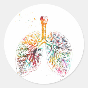 Anatomische longen ronde sticker