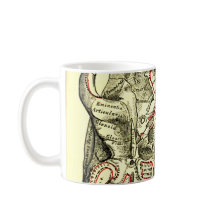  anatomische ondergrond van de schedel