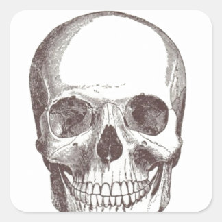 Anatomische schedel, zwart/wit vierkante sticker