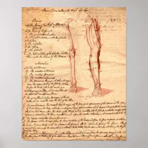 Anatomische schets poster