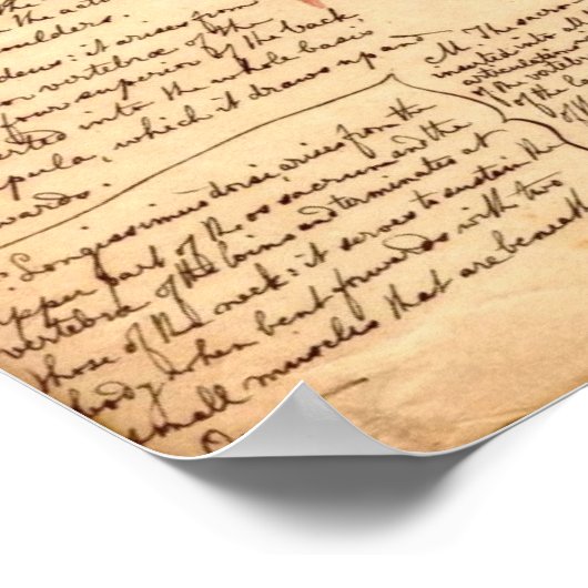 Anatomische schets poster (Hoek)