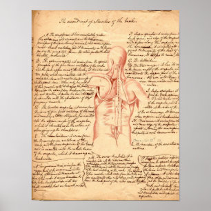 Anatomische schets poster