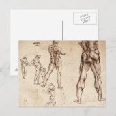 Anatomische studies briefkaart (Voorkant / Achterkant)