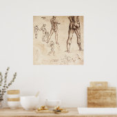 Anatomische studies poster (Keuken)