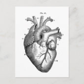 anatomische tekening menselijk hart briefkaart (Voorkant)