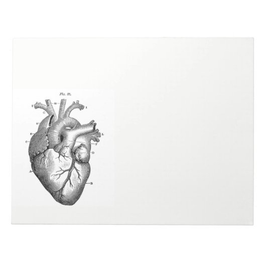  anatomische tekening menselijk hart notitieblok (Voorkant)