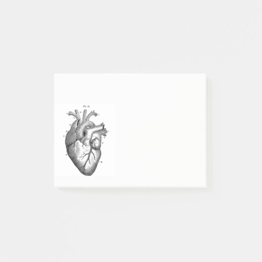 anatomische tekening menselijk hart post-it® notes (Voorkant)
