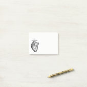 anatomische tekening menselijk hart post-it® notes (Op bureau)