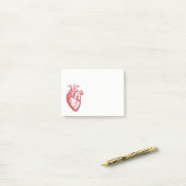 anatomische tekening menselijk hart post-it® notes (Op bureau)