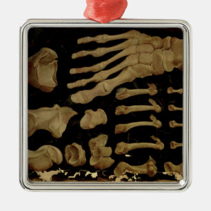 Anatomische tekening van de botten van de voet metalen ornament