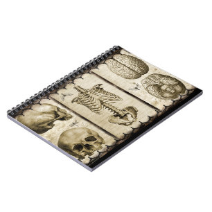 Anatomiseren Notitieboek