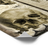 Anatomiseren Poster (Hoek)