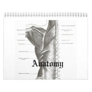 Anatomy Calender Kalender