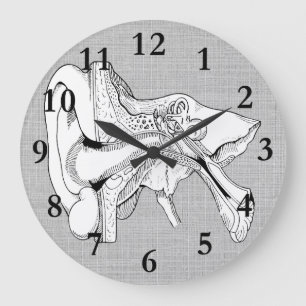 ANATOMY CLOCK GROTE KLOK