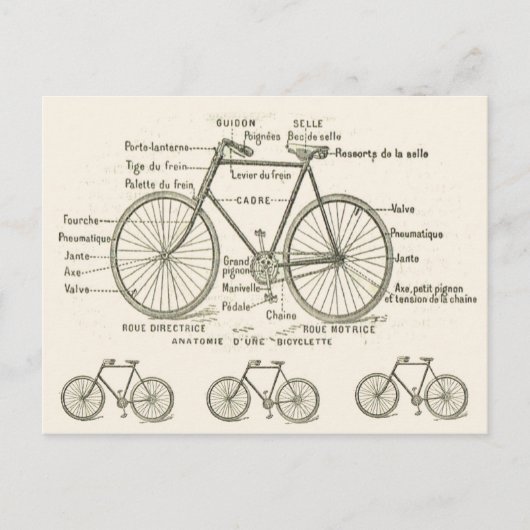 Anatomy of a Bicycle Briefkaart (Voorkant)