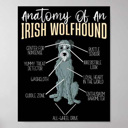 Anatomy Of An Irish Wolfhound  Poster (Voorkant)