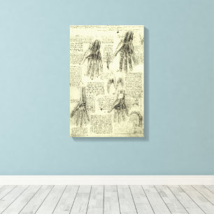 Anatomy of the Human Hand by Leonardo da Vinci Canvas Afdruk