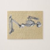 Anatomy Skeleton Illustratie Legpuzzel (Horizontaal)