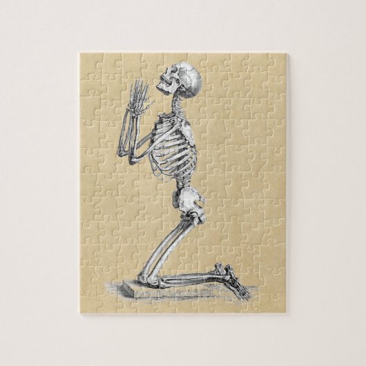 Anatomy Skeleton Illustratie Legpuzzel (Verticaal)