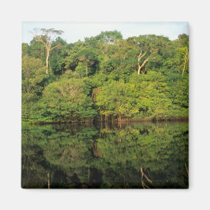 Anavilhanas, Amazonas, Brazilië. Regenwoud rivier Magneet