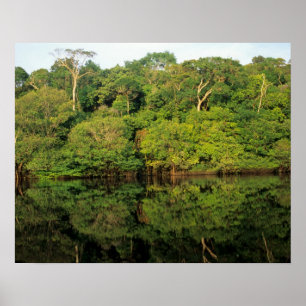 Anavilhanas, Amazonas, Brazilië. Regenwoud rivier Poster