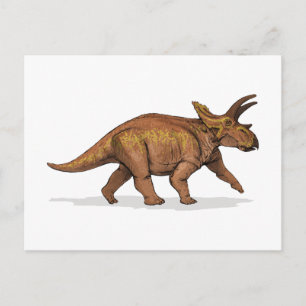 Anchiceratops Dinosaur Briefkaart