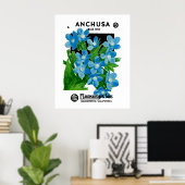 Anchusa Poster (Thuiskantoor)