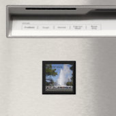 Ancien aimant fidèle (In Situ (Lave-vaisselle))