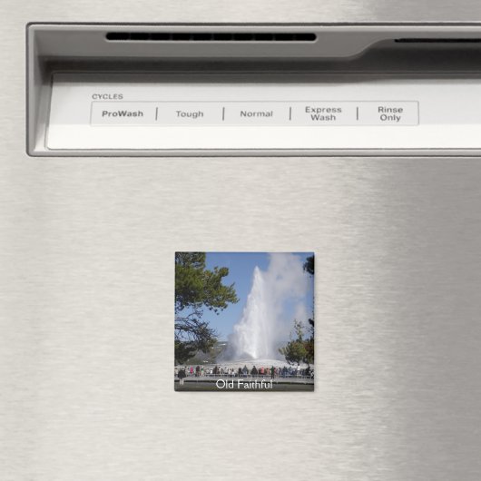 Ancien aimant fidèle (In Situ (Lave-vaisselle))