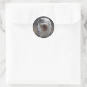Ancien Autocollant pour chien de berceau anglais - (Sac)