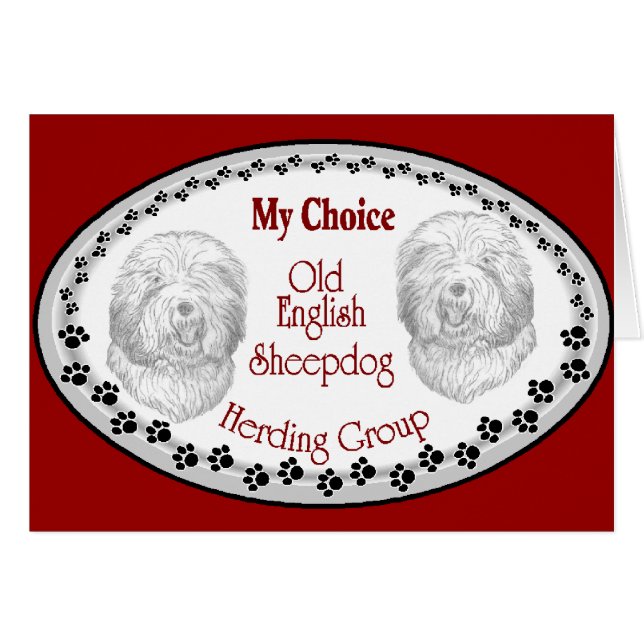 Ancien cadeau de Sheepdog anglais (Devant horizontal)