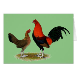 Ancien jeu anglais Bantams : BB Red Pair