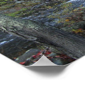 Ancien Mill Vermont Poster et imprimer (Coin)