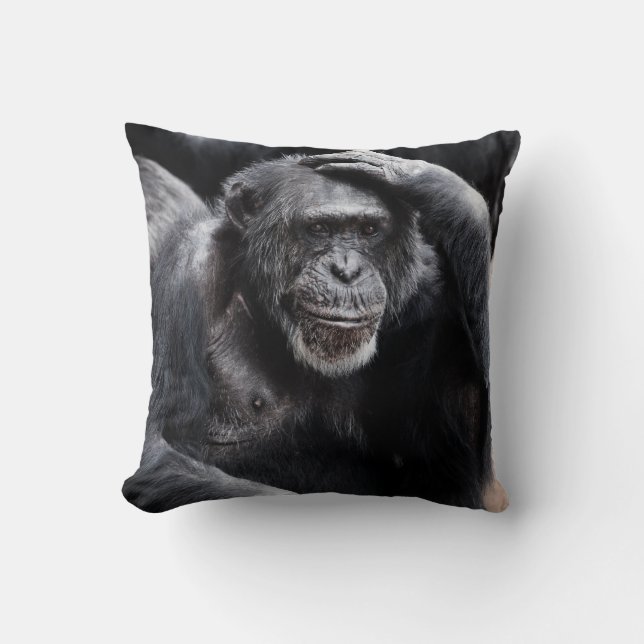 Ancien oreiller à lancer de chimpanzé (Recto)
