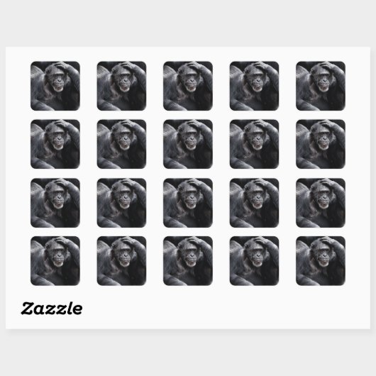 Ancien stickers Chimpanzé (Feuille)