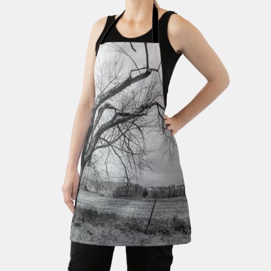 Ancien tablier d'hiver (Insitu)