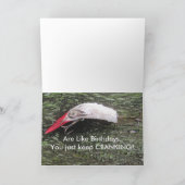 Ancienne carte d'anniversaire des leurres de pêche (Intérieur)