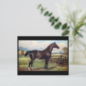 Ancienne carte postale - Anglais Hunter (Debout devant)