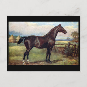 Ancienne carte postale - Anglais Hunter