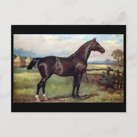 Ancienne carte postale - Anglais Hunter (Devant)