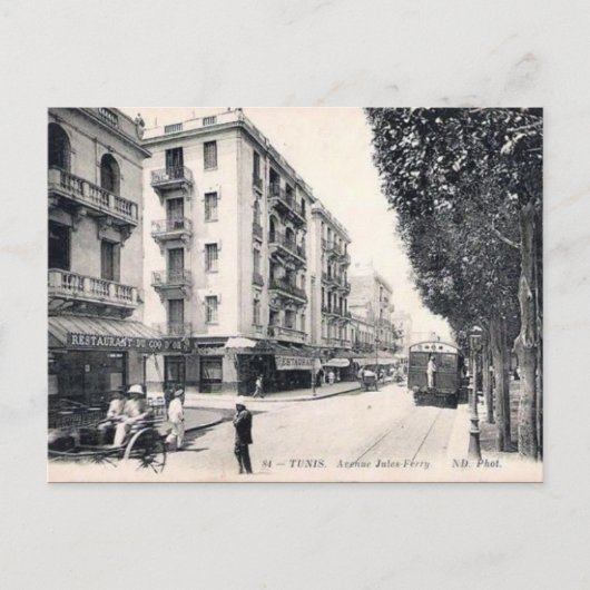 Ancienne carte postale - Ave Jules-Ferry, Tunis (Devant)