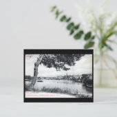 Ancienne carte postale - Castelnaudary, Aude, Fran (Debout devant)