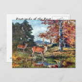 Ancienne carte postale - Cerf en jachère (Devant / Derrière)