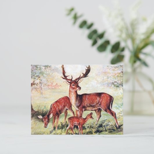 Ancienne carte postale - Cerf en jachère (Debout devant)