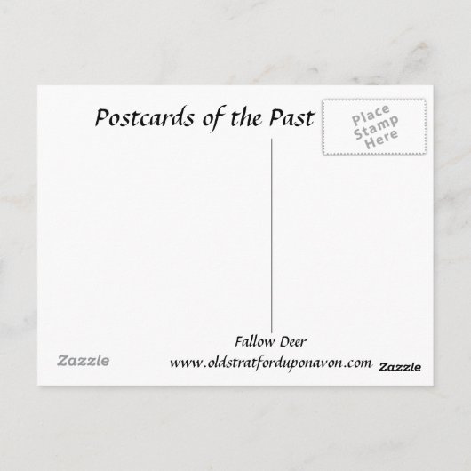 Ancienne carte postale - Cerf en jachère (Dos)