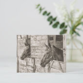 ancienne carte postale de chevaux stables (Debout devant)
