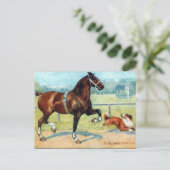 Ancienne carte postale - Hackney Stallion (Debout devant)