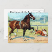 Ancienne carte postale - Hackney Stallion (Devant / Derrière)